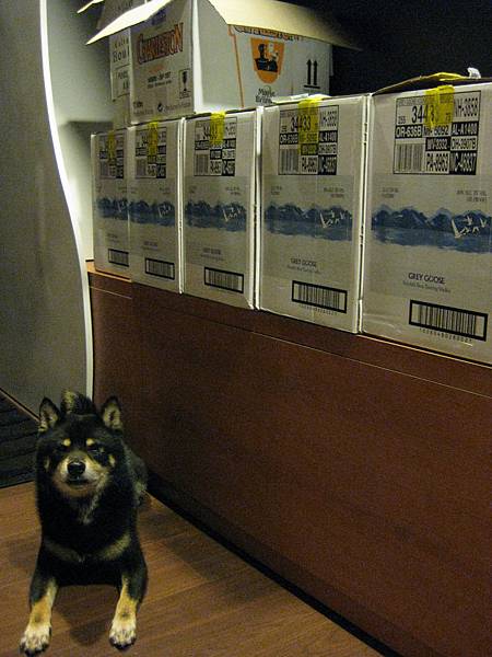 20110424-003.JPG 20110424-003.JPG