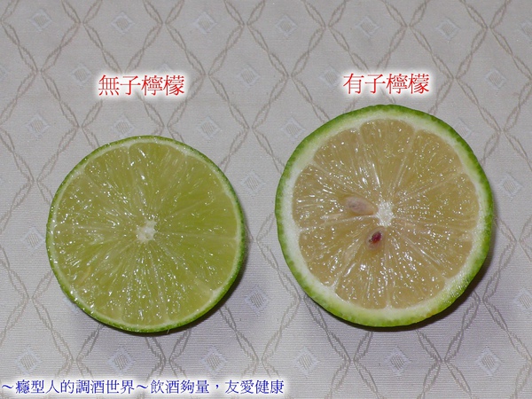 (1-3)001檸檬.jpg