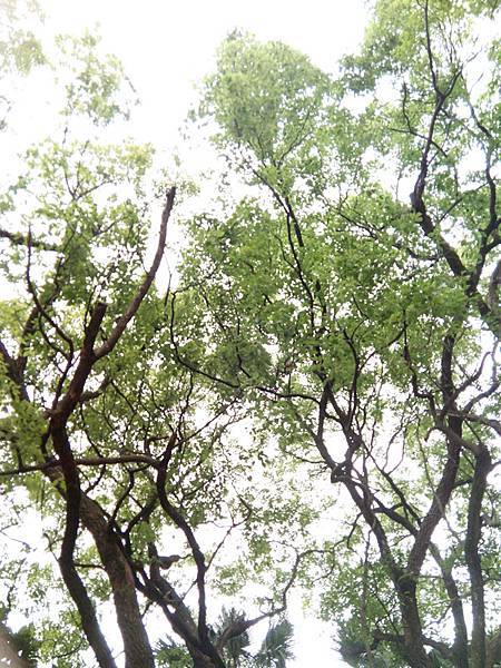寶礦力 (24).jpg 寶礦力 (24).jpg
