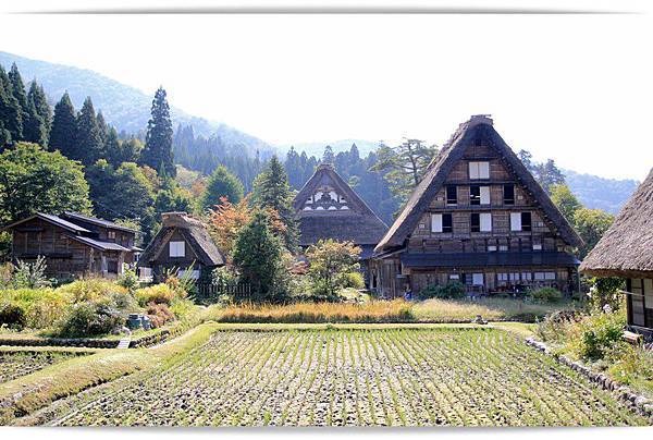 宫崎骏里的童话屋。白川乡合掌村,让人好著迷