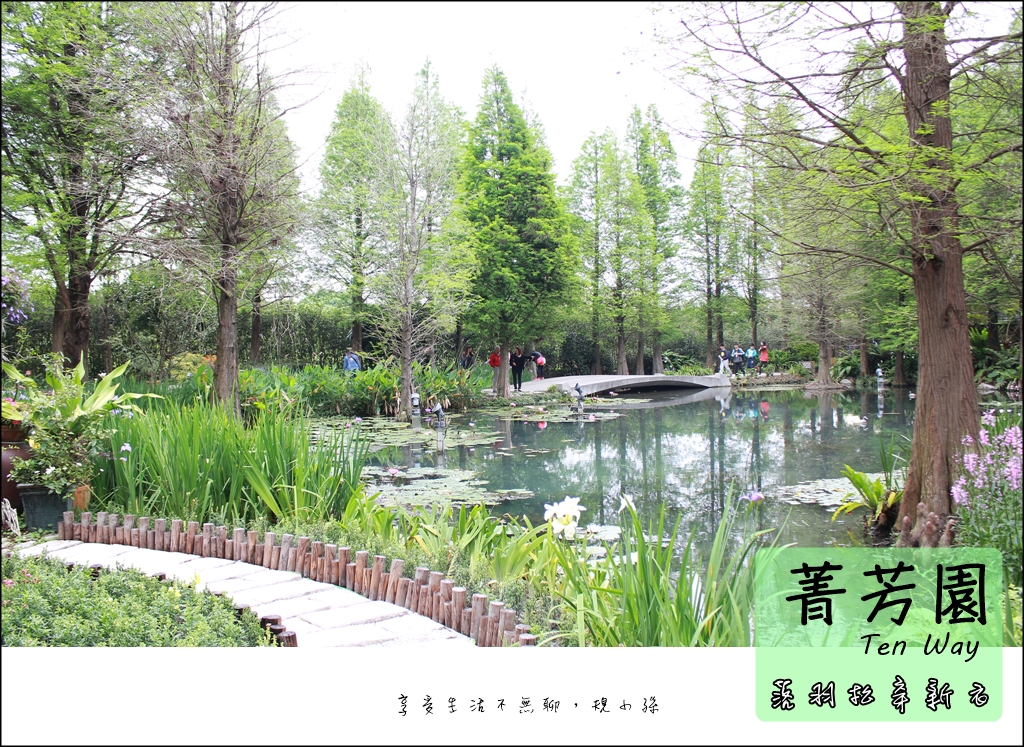 彰化,落羽松,菁芳園,蓮花,生態池,紫色隧道,蘭花間,秘密花園,彰化景點