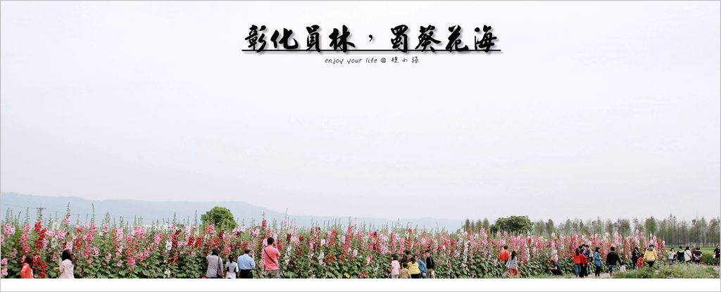 彰化員林蜀葵花海,南區公園,大明里活動中心,右舍咖啡,清明連假,台中中興大學洋紅風鈴木,台中東勢木棉花,彰化,員林,蜀葵花海,車站,公園
