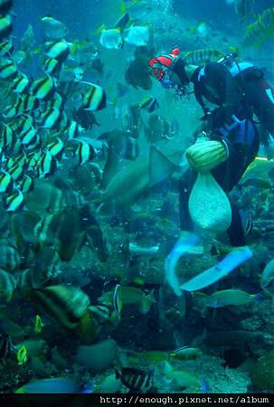 tn_DSC_2042.JPG tn_DSC_2042.JPG