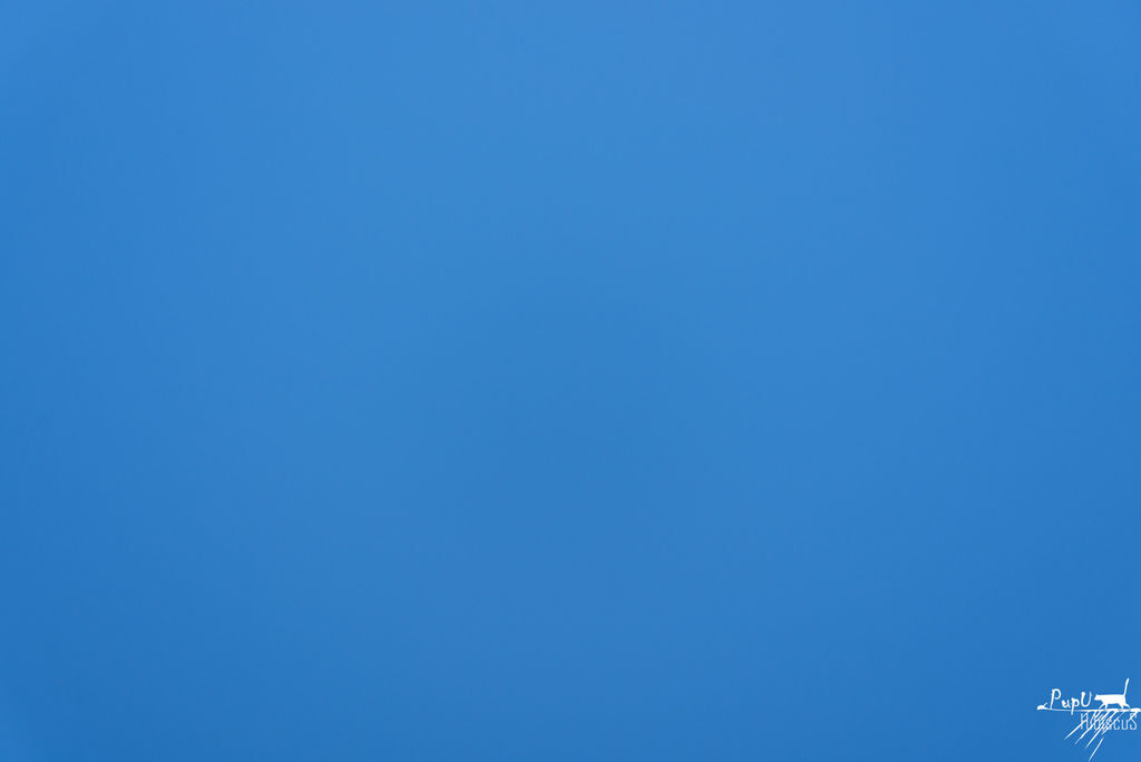 DSC_3189 DSC_3189