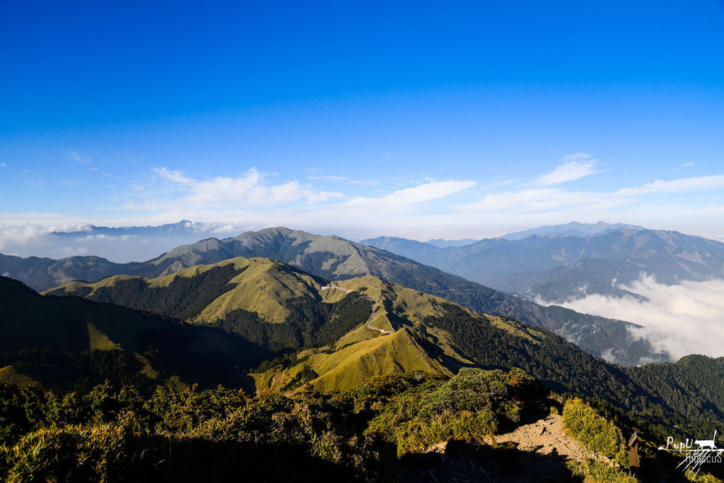 DSC_8000.jpg DSC_8000.jpg