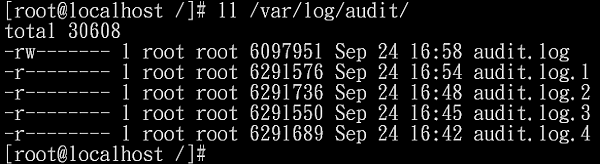 audit3 audit3
