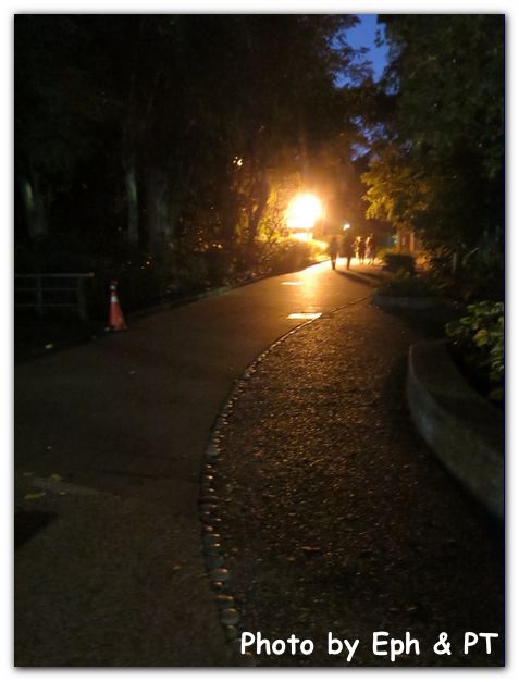 20141123_174223_result.JPG 20141123_174223_result.JPG