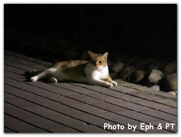 20141123_180141_result.JPG 20141123_180141_result.JPG