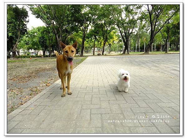 564928_477744768906413_421592644_n