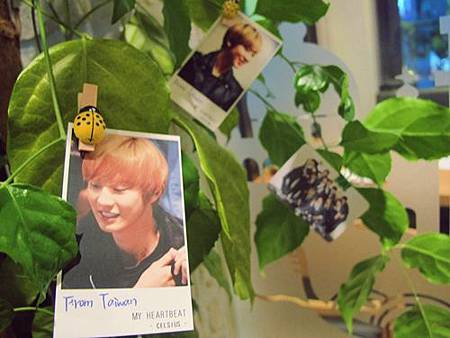 燦烈媽媽義式餐廳VIVAPOLO