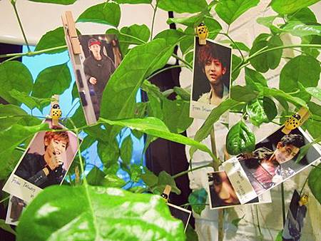 燦烈媽媽義式餐廳VIVAPOLO