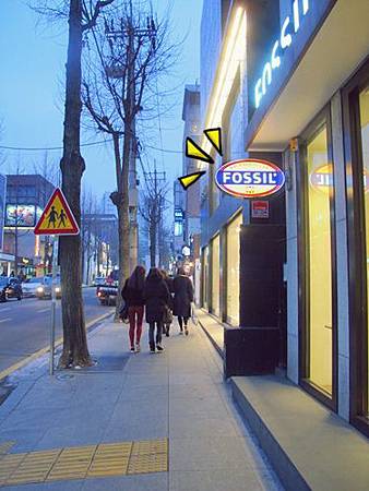 <EXO's Showtime> 第3集取景地:新沙洞林蔭道