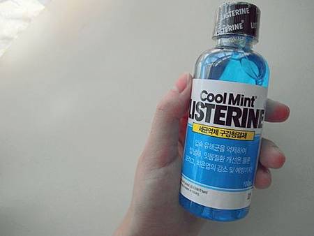 <EXO's Showtime> 第3集取景地:新沙洞林蔭道