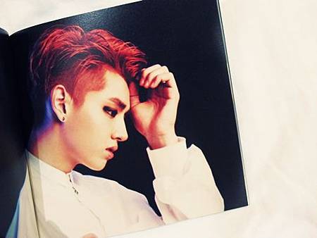 EXO第二張迷你專輯《OVERDOSE》