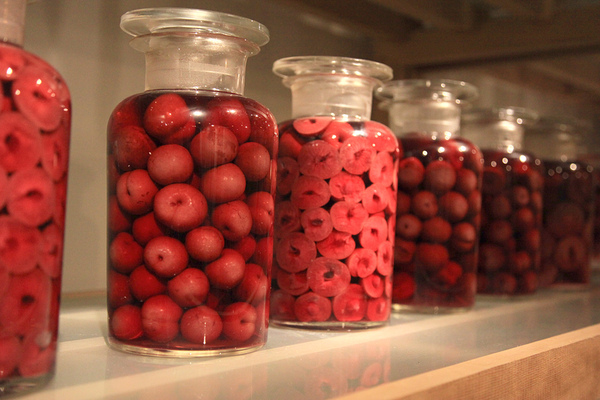 5178276369_27c24d613a_b.jpg 5178276369_27c24d613a_b.jpg