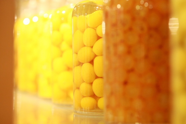 3Z8Q1337-1024.jpg 3Z8Q1337-1024.jpg