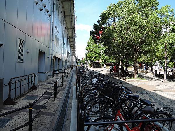 DSCN4960.JPG DSCN4960.JPG