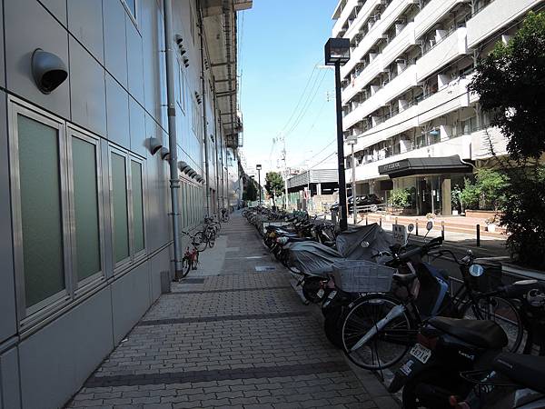 DSCN4964.JPG DSCN4964.JPG