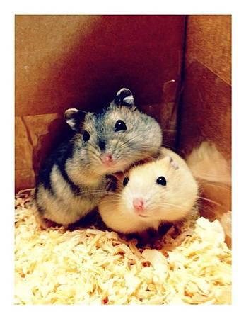 64796_362142350486201_100000713178095_1197742_359534012_n 64796_362142350486201_100000713178095_1197742_359534012_n