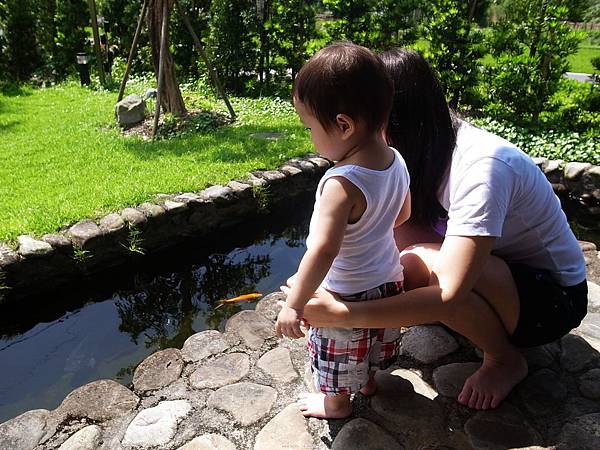 輕旅行 265 輕旅行 265