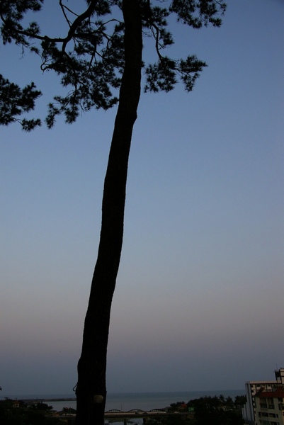 端午花蓮 261.jpg