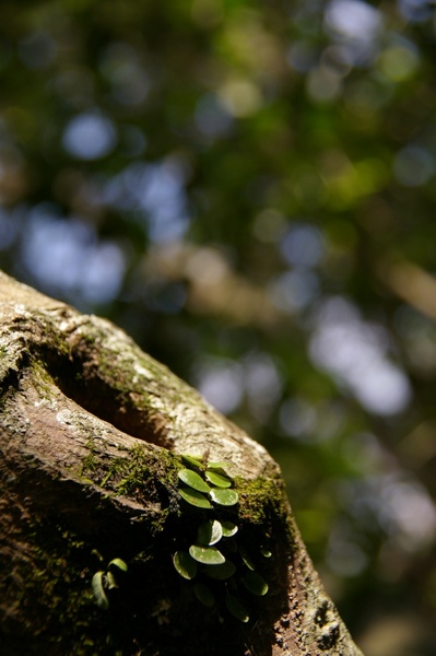 端午花蓮 133.jpg