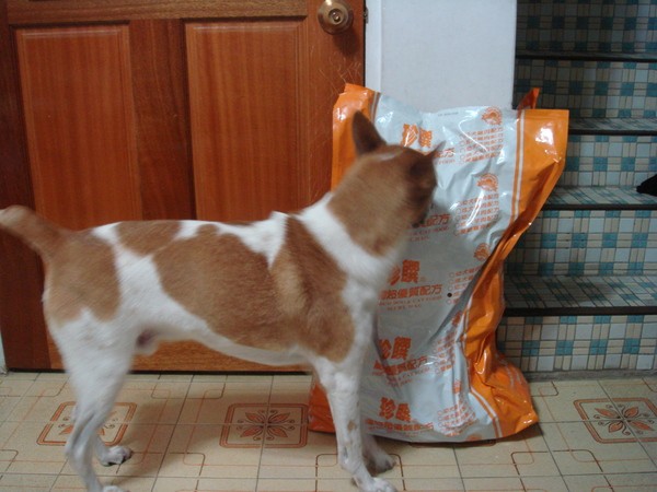 20公斤的飼料 20公斤的飼料