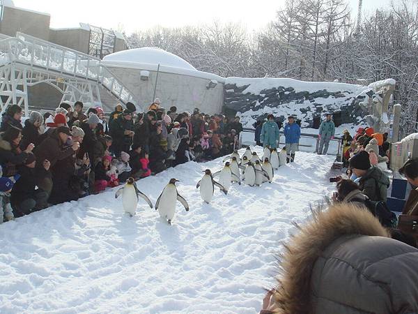 DSC06802.JPG DSC06802.JPG