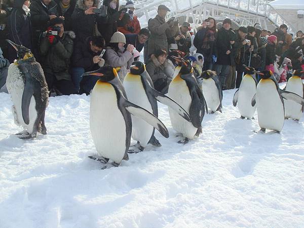 DSC06807.JPG DSC06807.JPG