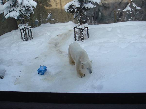 DSC06848.JPG DSC06848.JPG