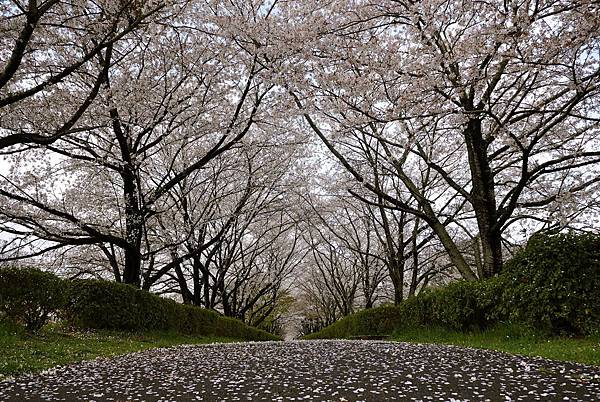 IMG_3866.JPG IMG_3866.JPG