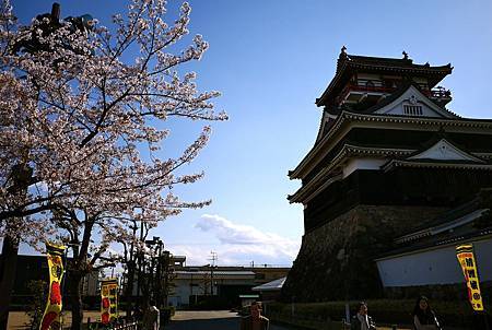 IMG_3689.JPG IMG_3689.JPG