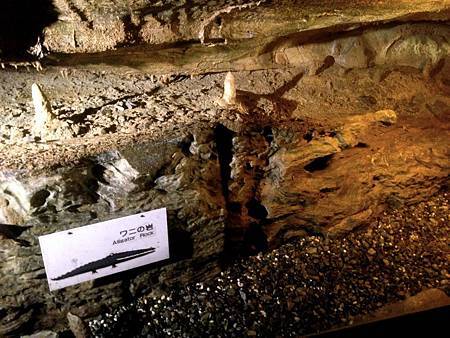 IMG_8146.JPG IMG_8146.JPG