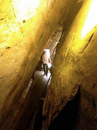 IMG_8149.jpg IMG_8149.jpg