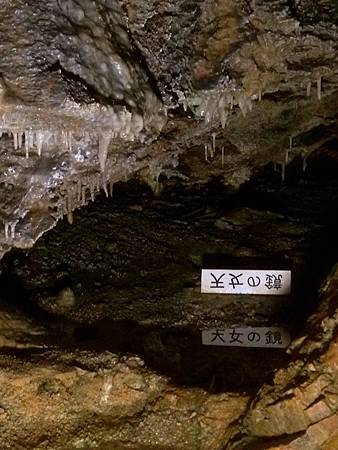 IMG_8154.jpg IMG_8154.jpg