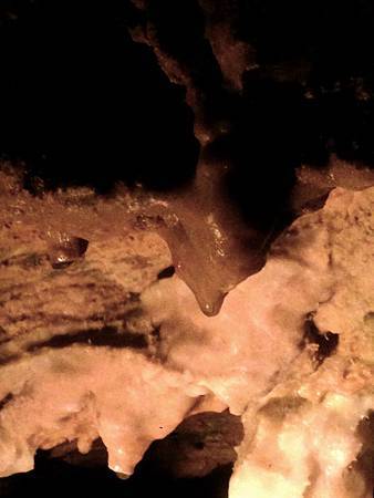 IMG_8166.jpg IMG_8166.jpg