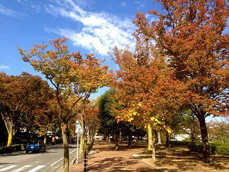 IMG_9010.JPG IMG_9010.JPG