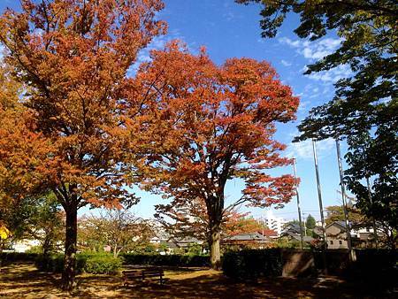 IMG_9012.JPG IMG_9012.JPG