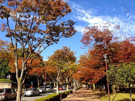 IMG_9014.JPG IMG_9014.JPG