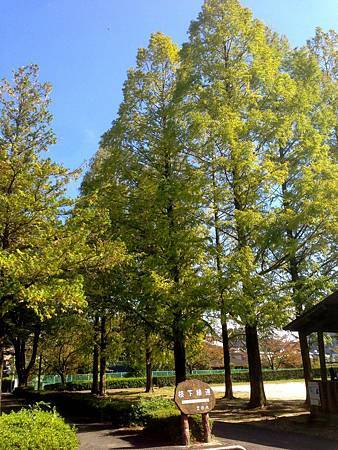 IMG_9015.jpg IMG_9015.jpg