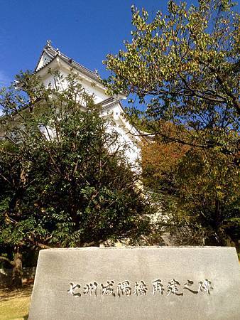 IMG_9020.jpg IMG_9020.jpg