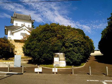 IMG_9022.JPG IMG_9022.JPG