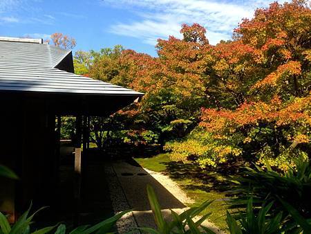 IMG_9041.JPG IMG_9041.JPG