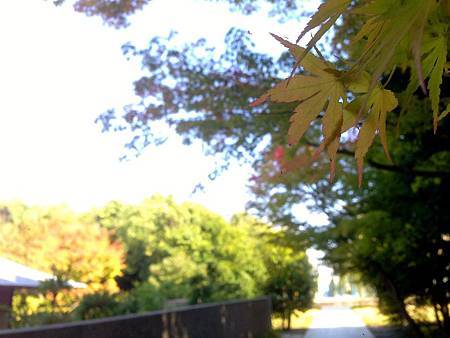 IMG_9043.JPG IMG_9043.JPG