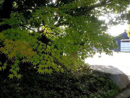 IMG_9044.JPG IMG_9044.JPG