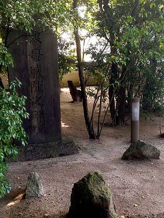 IMG_9054.jpg IMG_9054.jpg