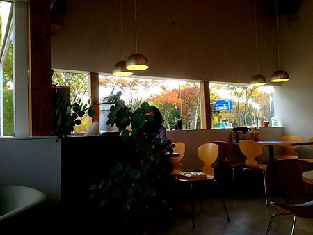 IMG_9081.JPG IMG_9081.JPG