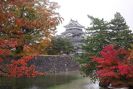 IMG_9387.JPG IMG_9387.JPG