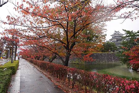 IMG_9388.JPG IMG_9388.JPG