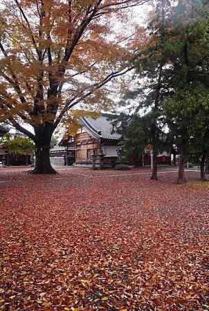 IMG_9393.jpg IMG_9393.jpg